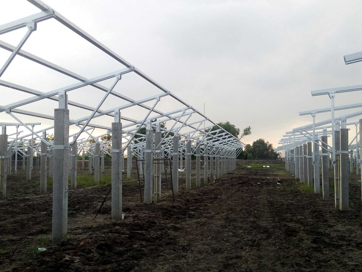 Clenergy Freiflächenanlage 5MW Agrivoltaik-Projekt in Thailand Clenergy Freiflächenanlage 5MW Agrivoltaik-Projekt in Thailand